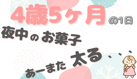 ハードな2歳差3姉弟｜にこちゃん（4歳5ヶ月）ファミリーの1日のタイムスケジュール