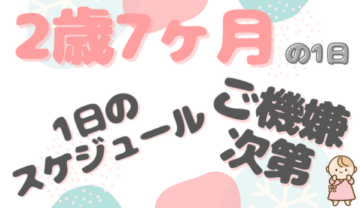 イヤイヤ期！前倒し前倒し！｜まおちゃん（2歳7ヶ月）ファミリーの1日のタイムスケジュール