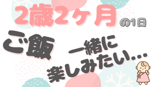 ご飯を食べさせるので精一杯｜わかなちゃん（2歳2ヶ月）ファミリーの1日のタイムスケジュール